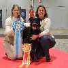  - Exposition Canine Internationale de Nantes 2024 