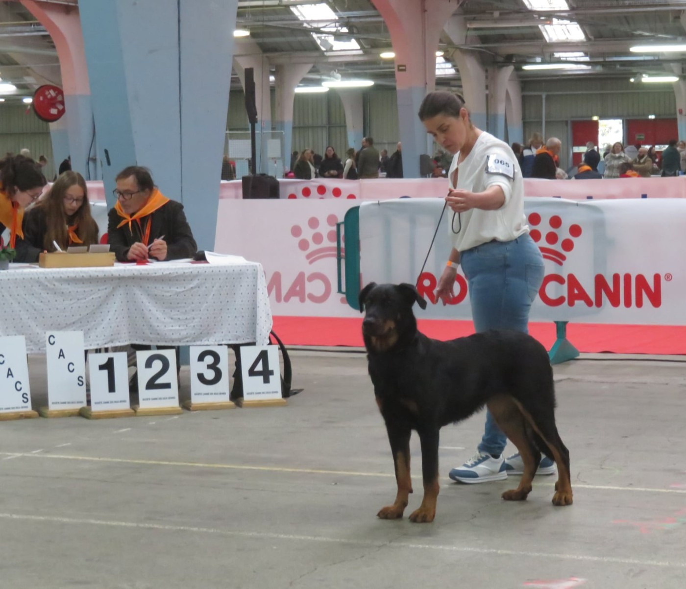 Exposition Nationale de Niort
