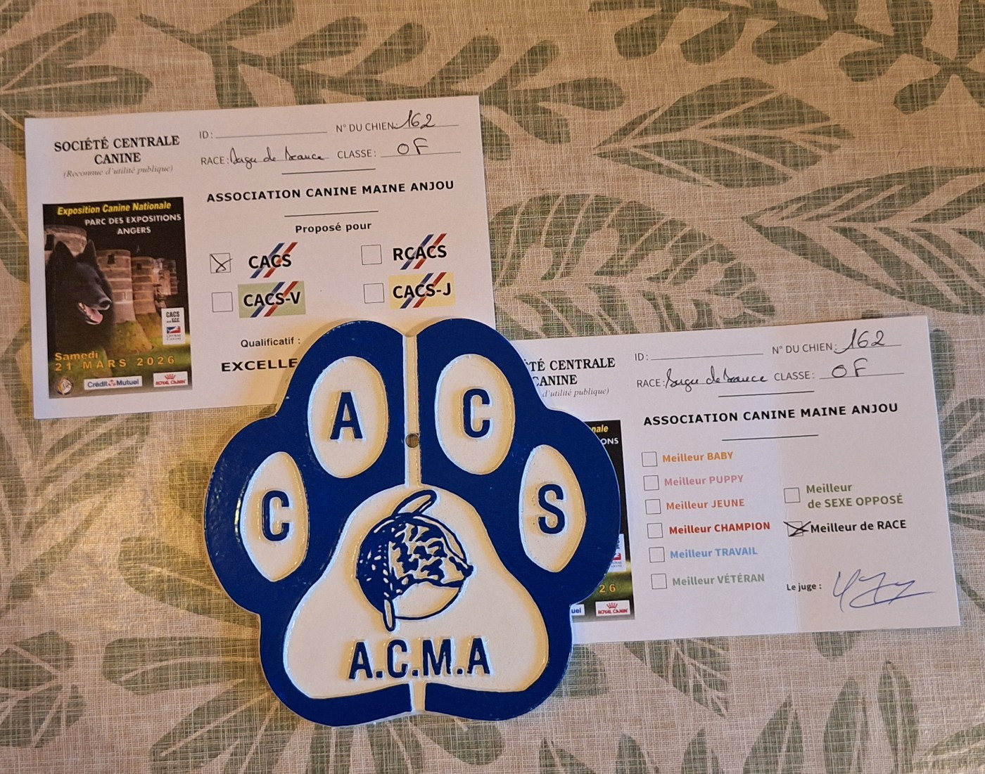 Exposition Nationale d'Angers