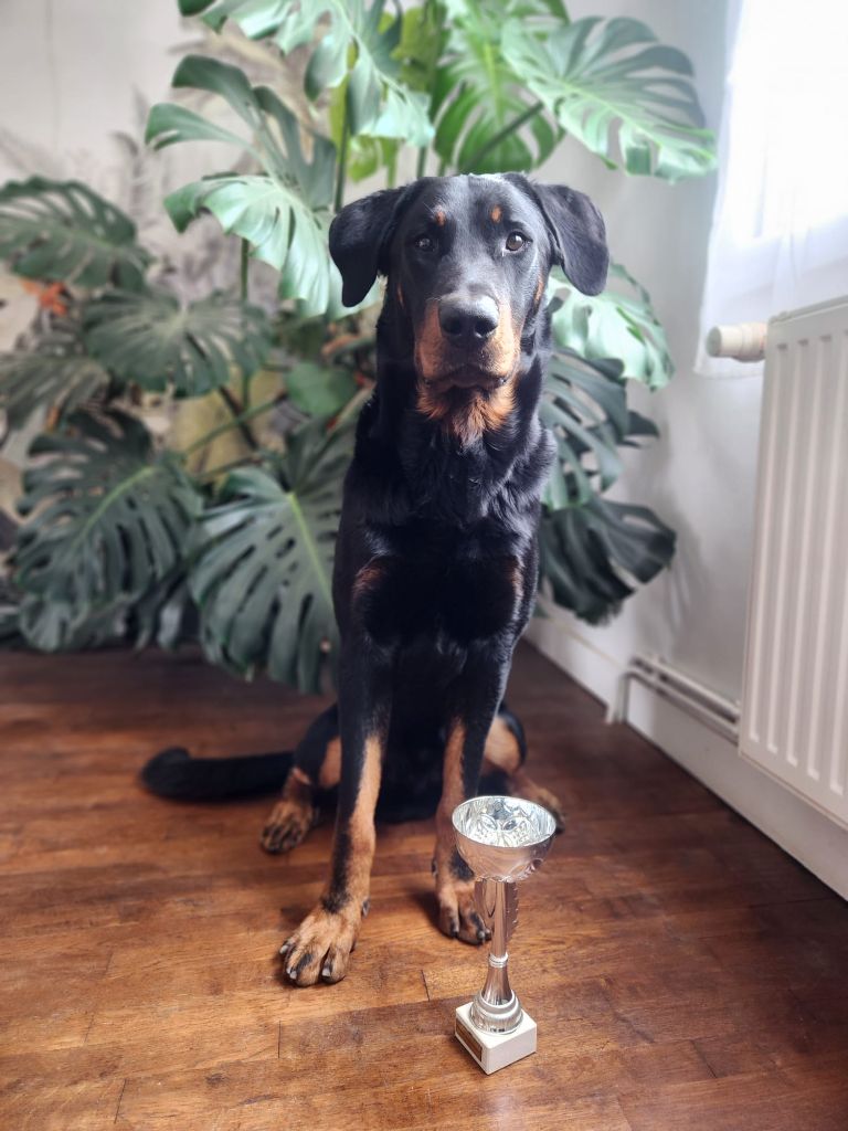 Ultor valide sa cotation 3 