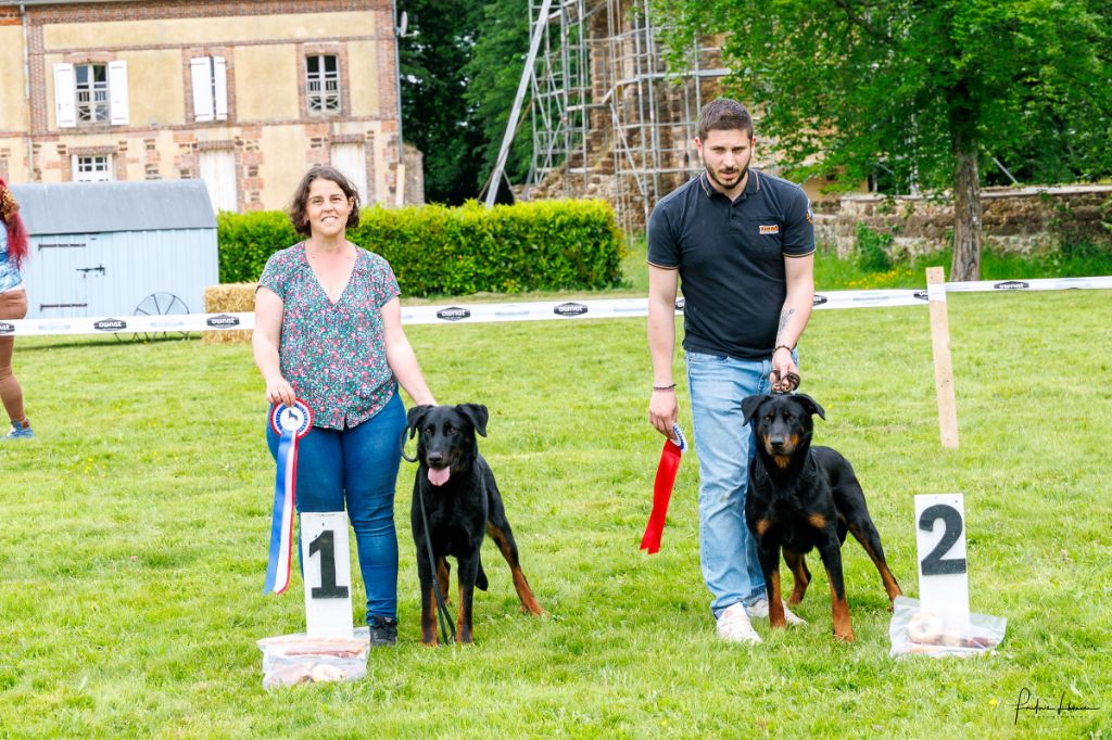 Journée Beauceronne du Thieulin en famille 